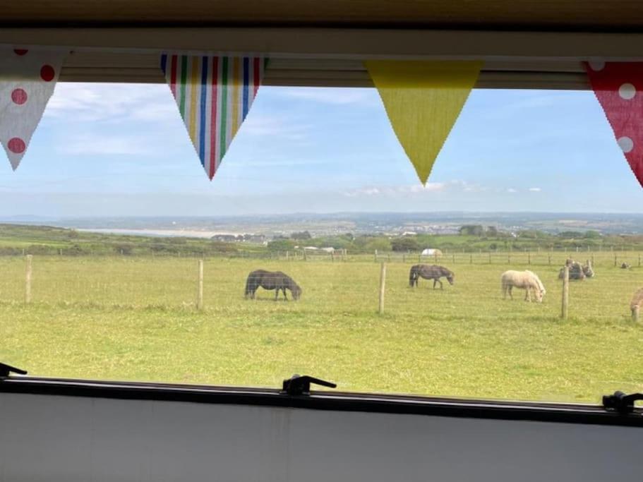 St Ives Lily Cosy Campervan With Sea Views & Amazing Sunrises מראה חיצוני תמונה